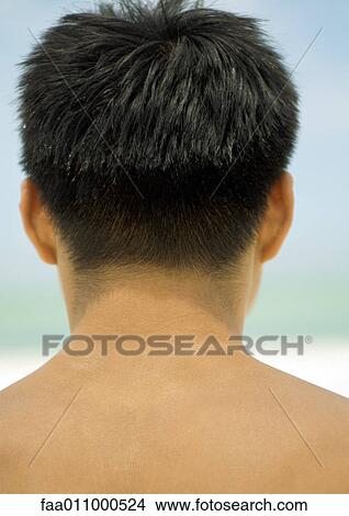 Picture - Man's head and shoulders, rear view. Fotosearch