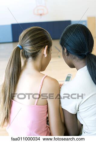Two teen girls sitting close together in school gym, looking at cell phone View Large Photo Image Picture - Two teen girls sitting close together in school gym, looking at cell phone. Fotosearch
