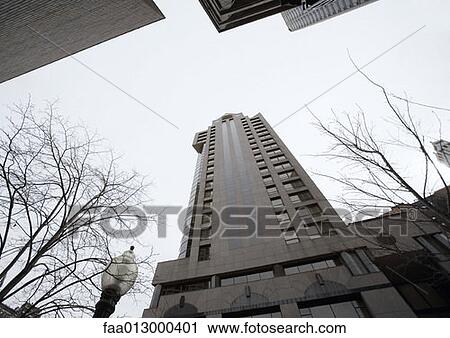 High rise building with bare trees and street lamp, low angle view View Large Photo Image Stock Image - High rise building with bare trees and street lamp, low angle view. Fotosearch