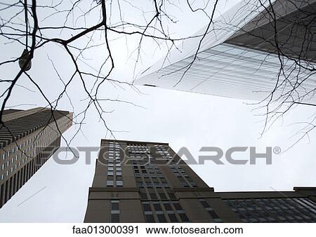 High rise buildings, low angle view View Large Photo Image Stock Image - High rise buildings, low angle view. Fotosearch