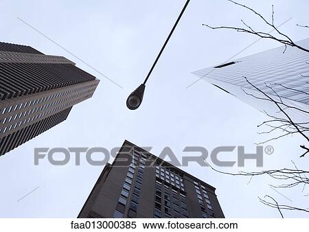 High rise buildings with street lamp and bare branches, low angle view View Large Photo Image Stock Photography - High rise buildings with street lamp and bare branches, low angle view. Fotosearch