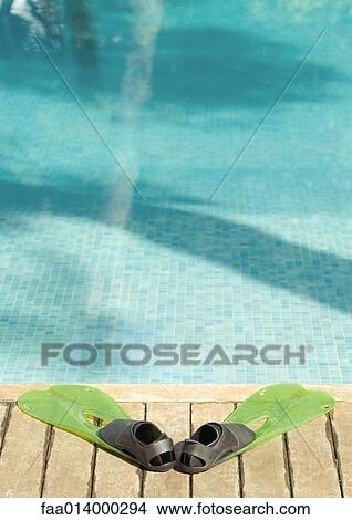 Flippers by edge of pool View Large Photo Image Picture - Flippers by edge of pool. Fotosearch