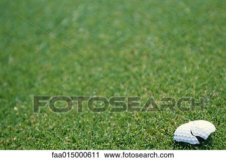 Crushed golf ball on grass View Large Photo Image Stock Image - Crushed golf ball on grass. Fotosearch