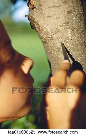 Girl carving heart on tree trunk, close-up View Large Photo Image Stock Photography - Girl carving heart on tree trunk, close-up. Fotosearch