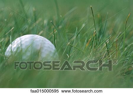 Golf ball in grass, extreme close-up View Large Photo Image Stock Photography - Golf ball in grass, extreme close-up. Fotosearch