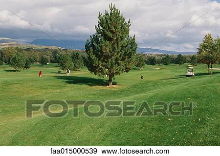Golf course View Large Photo Image Stock Photo - Golf course. Fotosearch