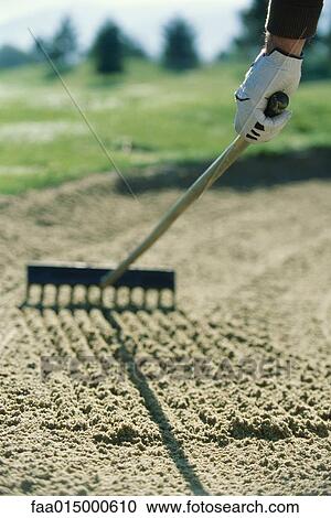 Golfer raking sand in sand trap View Large Photo Image Stock Image - Golfer raking sand in sand trap. Fotosearch