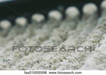 Raking sand trap, extreme close-up View Large Photo Image Stock Photo - Raking sand trap, extreme close-up. Fotosearch