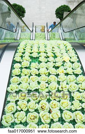 Stock Image - High angle view of escalators, roses decorating middle section. Fotosearch