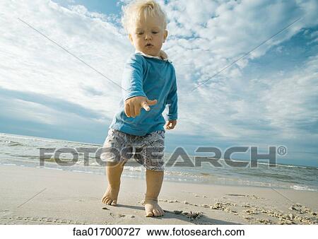 Stock Photo - Toddler on beach, pointing. Fotosearch