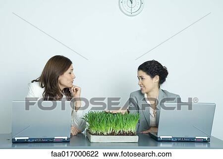 Stock Image - Two businesswomen sitting at laptops, one touching tray of wheatgrass. Fotosearch
