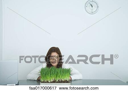 Stock Photo - Woman leaning over tray of wheatgrass. Fotosearch
