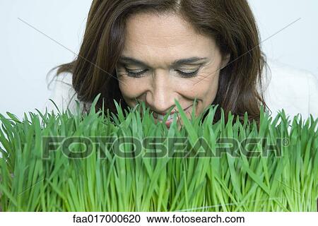 Woman smelling wheatgrass View Large Photo Image Stock Image - Woman smelling wheatgrass. Fotosearch
