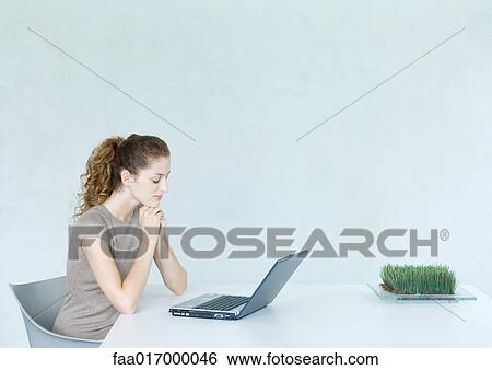 Woman using laptop, tray of wheatgrass on table View Large Photo Image Stock Photograph - Woman using laptop, tray of wheatgrass on table. Fotosearch