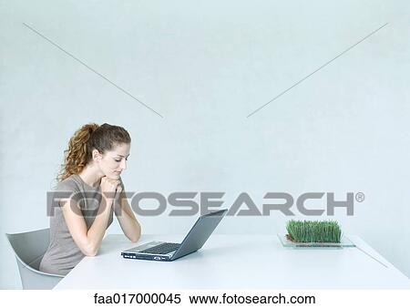 Woman using laptop, tray of wheatgrass on table View Large Photo Image Stock Photography - Woman using laptop, tray of wheatgrass on table. Fotosearch
