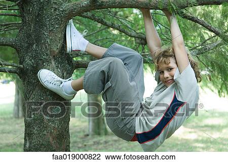 Boy climbing tree View Large Photo Image Stock Image - Boy climbing tree. Fotosearch