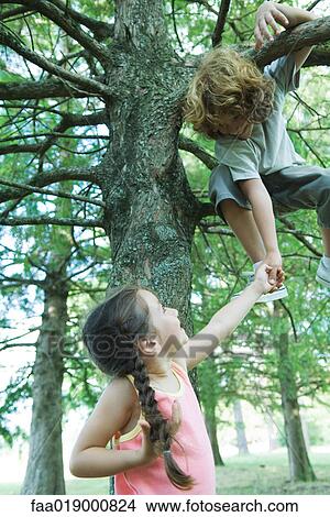 Picture - Boy in tree holding hands with sister standing below. Fotosearch
