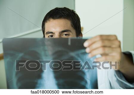 Doctor studying x-ray View Large Photo Image Stock Image - Doctor studying x-ray. Fotosearch