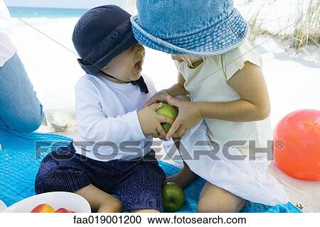 Family having picnic on beach, siblings fighting over apple View Large Photo Image Stock Image - Family having picnic on beach, siblings fighting over apple. Fotosearch