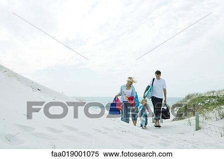 Family walking through dunes to beach View Large Photo Image Stock Photography - Family walking through dunes to beach. Fotosearch
