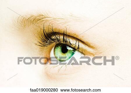 Female eye, extreme close-up View Large Photo Image Stock Image - Female eye, extreme close-up. Fotosearch