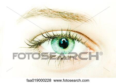 Female eye, extreme close-up View Large Photo Image Stock Photo - Female eye, extreme close-up. Fotosearch