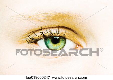 Female eye, extreme close-up View Large Photo Image Stock Photo - Female eye, extreme close-up. Fotosearch