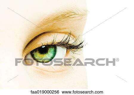 Female eye, extreme close-up View Large Photo Image Stock Photograph - Female eye, extreme close-up. Fotosearch