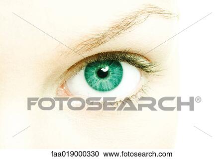 Female eye View Large Photo Image Stock Image - Female eye. Fotosearch