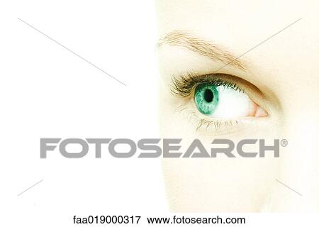 Female eye View Large Photo Image Stock Photo - Female eye. Fotosearch