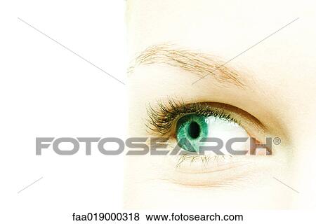 Female eye View Large Photo Image Stock Photo - Female eye. Fotosearch