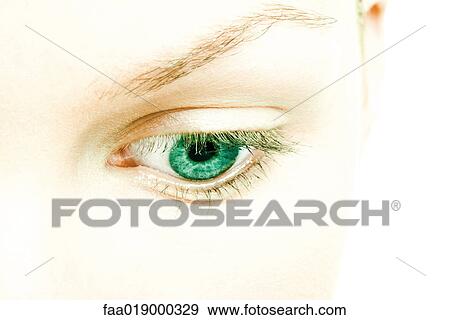 Female eye View Large Photo Image Stock Photo - Female eye. Fotosearch