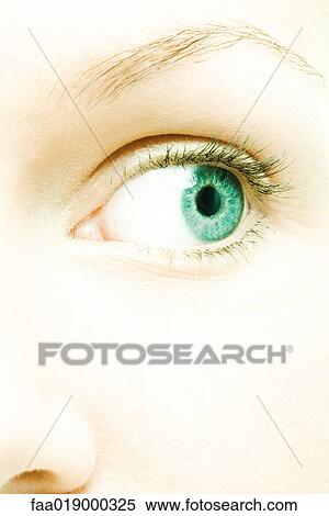 Female eye View Large Photo Image Stock Photography - Female eye. Fotosearch