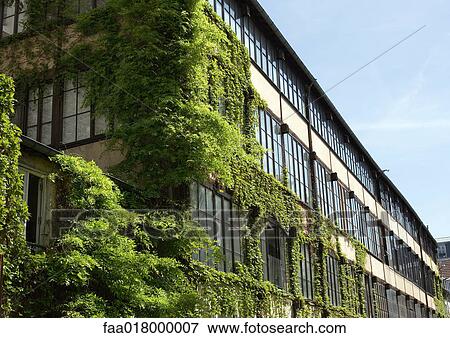 Stock Photo - Ivy covered building. Fotosearch