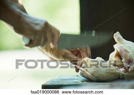 Stock Photograph - Man cutting up chicken, blurred motion, close-up. Fotosearch