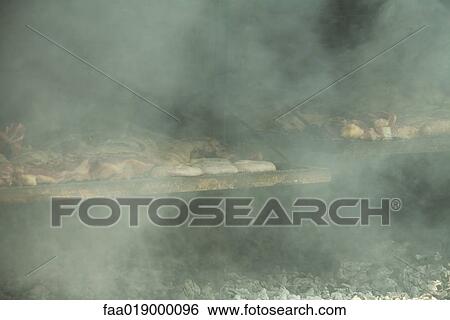 Meat grilling in barbecue View Large Photo Image Stock Photograph - Meat grilling in barbecue. Fotosearch
