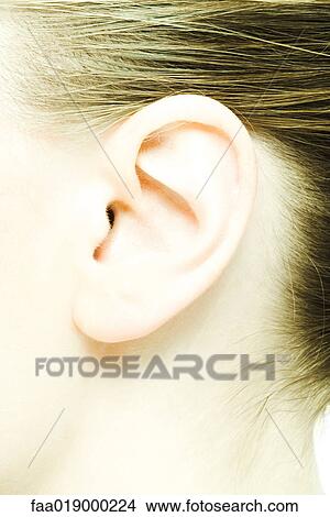 Picture - Teenage girl's ear, extreme close-up. Fotosearch