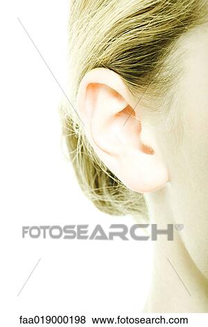 Teenage girl's ear, extreme close-up View Large Photo Image Stock Photo - Teenage girl's ear, extreme close-up. Fotosearch