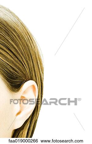 Teenage girl's ear, extreme close-up View Large Photo Image Stock Photograph - Teenage girl's ear, extreme close-up. Fotosearch