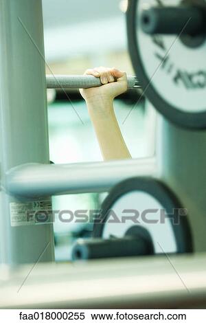 Woman lifting weights View Large Photo Image Stock Photography - Woman lifting weights. Fotosearch
