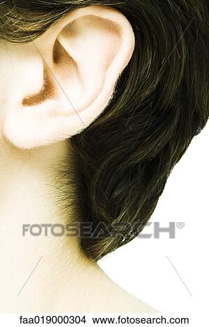 Young man's ear, extreme close-up View Large Photo Image Picture - Young man's ear, extreme close-up. Fotosearch