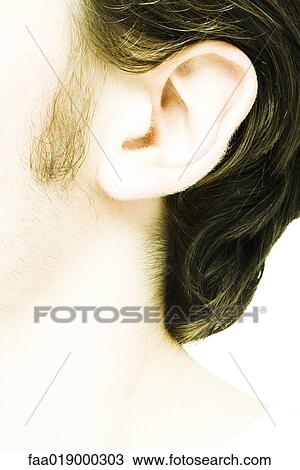 Young man's ear, extreme close-up View Large Photo Image Stock Image - Young man's ear, extreme close-up. Fotosearch