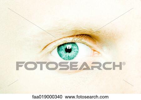 Young man's eye, extreme close-up View Large Photo Image Stock Image - Young man's eye, extreme close-up. Fotosearch