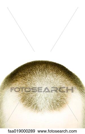 Young man's shaved head, close-up View Large Photo Image Stock Photo - Young man's shaved head, close-up. Fotosearch