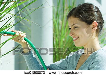 Stock Image - Young woman watering plants with garden hose. Fotosearch