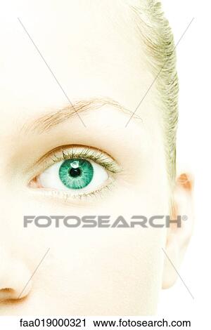 Young woman's eye and forehead, extreme close-up View Large Photo Image Stock Image - Young woman's eye and forehead, extreme close-up. Fotosearch