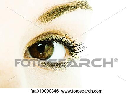 Young woman's eye, extreme close-up View Large Photo Image Stock Photograph - Young woman's eye, extreme close-up. Fotosearch