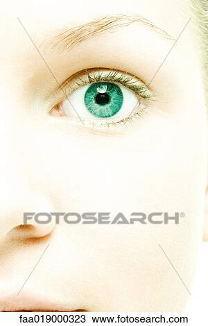 Young woman's face, extreme close-up View Large Photo Image Stock Image - Young woman's face, extreme close-up. Fotosearch