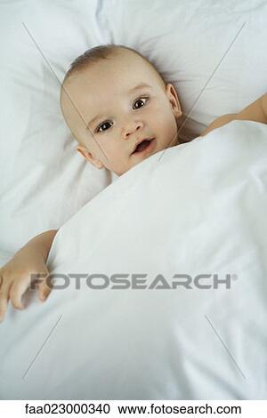 Baby in bed under duvet, looking at camera, high angle view View Large Photo Image Stock Image - Baby in bed under duvet, looking at camera, high angle view. Fotosearch