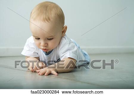 Baby lying on floor, looking at seam in flooring View Large Photo Image Picture - Baby lying on floor, looking at seam in flooring. Fotosearch
